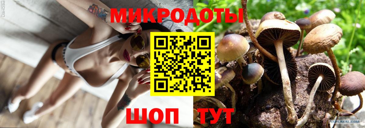 Галлюциногенные грибы прущие грибы  Вход с VPN  Павлово 